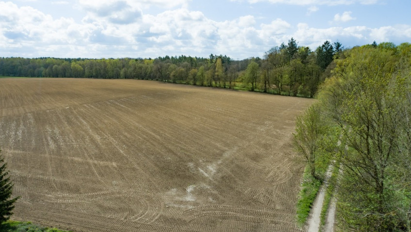 Działka Sprzedaż Wolin